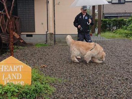 HEART LAND HOUSE ＜屋久島＞ 写真