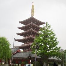 晴れたらもっと綺麗な色でしょう