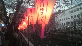桜のライトアップはかなりの混雑となるので注意