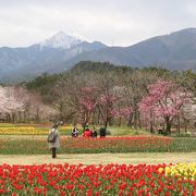 常念岳が見えました