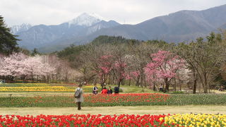 常念岳が見えました