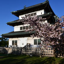 桜と本丸