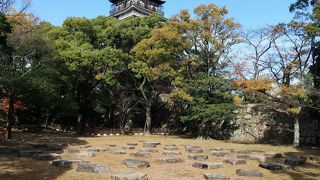 面白い取り組み