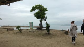 広々とした砂浜