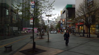 だいぶ寂しくなりました