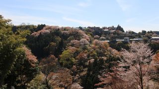 奈良の桜の展望を期待して行きましたが、失敗でした