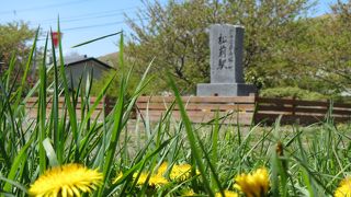 4月末から5月初めのソメイヨシノの時期に訪れるとよい