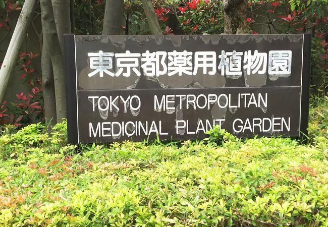 東京都薬用植物園 クチコミ アクセス 営業時間 小平 西東京 フォートラベル