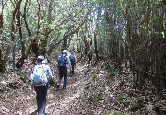 岩戸山に登りました