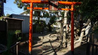 小さな稲荷にしては大仰過ぎると思います