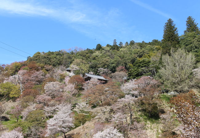 場所がわかりにくいです