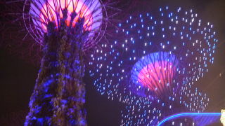 ガーデンズ・ラプソディーがきれいでした