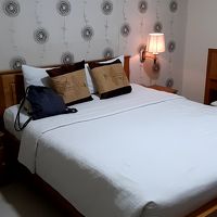 ダブルベッド。部屋の広さは必要十分