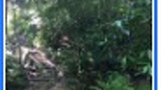 初心者向けのハイキングに最適！