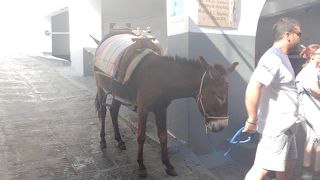 素晴らしい景色、青い海、ロバ、白壁の街とと教会