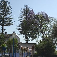 ハマン広場には木々が生い茂っていました