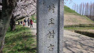 東日本最大の古墳群