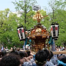 浜町公園イチョウ並木を行く神輿