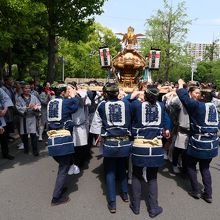 浜町公園イチョウ並木を行く神輿