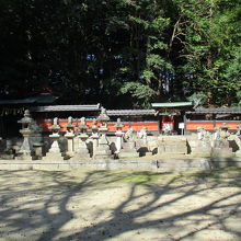 圧巻の景色です