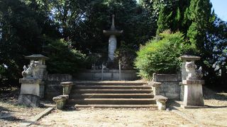 わかりにくいです