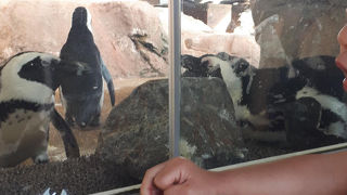 ３０分の滞在で十分