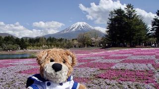 バスツアーで行って来ました。