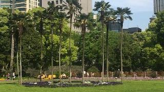 広々としています