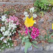 周辺は沢山の花が咲いていました