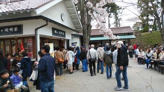 さくら祭り開催中、満開で大混雑