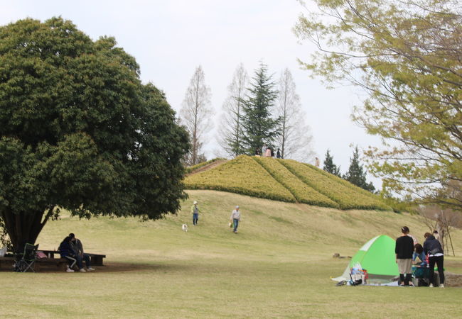 古河総合公園 クチコミ アクセス 営業時間 古河 フォートラベル 古河総合公園 クチコミ アクセス 営業時間 古河 フォートラベル