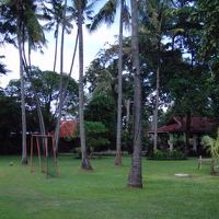 とても広い中庭　プールが併設されてます