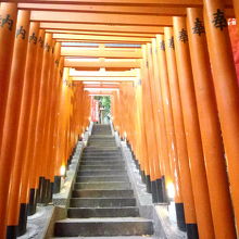 赤坂見附寄りの参道です