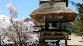 外人さんが多くて、外国旅行しているかのような錯覚に陥る。