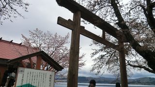 せっかくですから