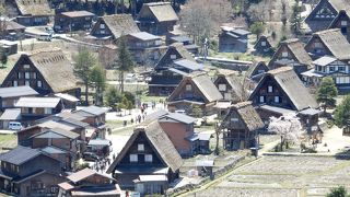 シャトルバスで行けばよかった・・・。