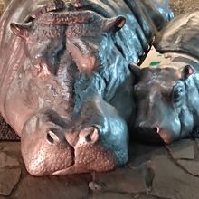 夜にたたずむカバの親子