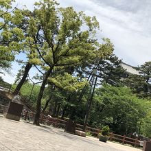 小倉城が見える