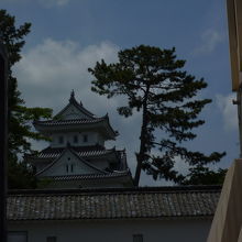 郭町通りからほんの100m、突然城門・天守が現れる