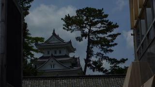 中心街のど真ん中、家並みに埋没しているのが惜しい