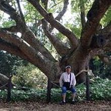 パワーをもらえた