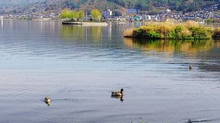 早朝のお散歩もオススメです