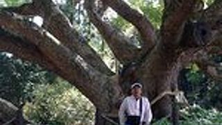 川棚温泉に泊まって