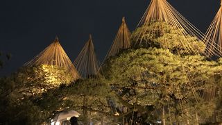 冬のライトアップ