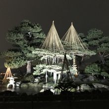 夜の七福神山