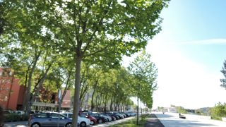 バジリカまで5分程度