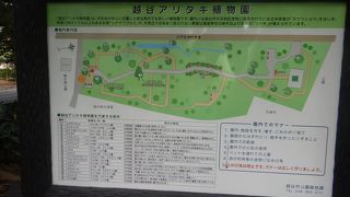 今年もみどりの日に行ってみた