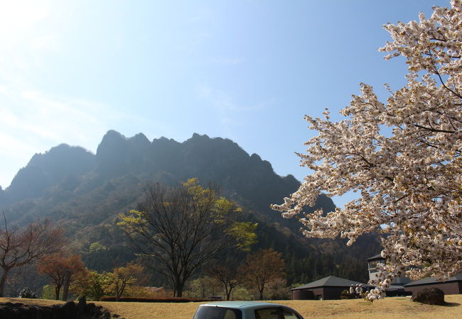 妙義山はすばらしかったけど、桜は少しでした