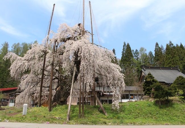 西光寺