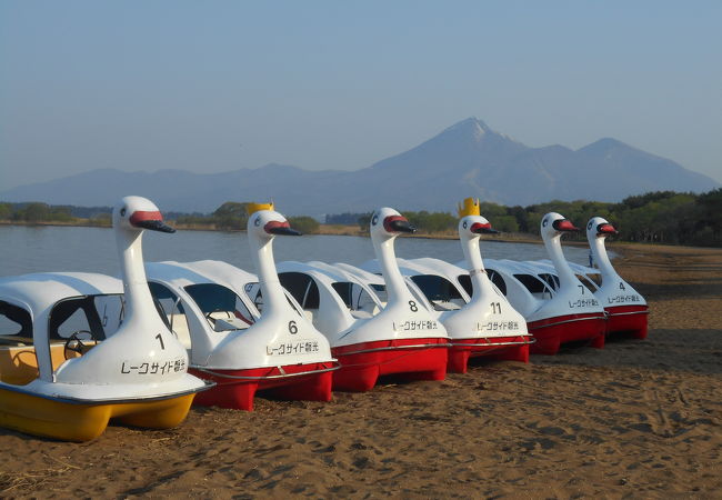 志田浜湖水浴場